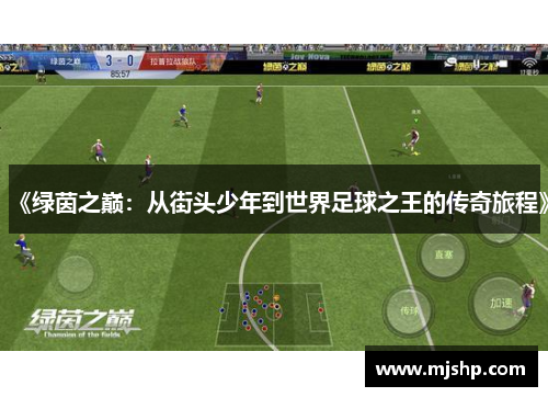 《绿茵之巅：从街头少年到世界足球之王的传奇旅程》
