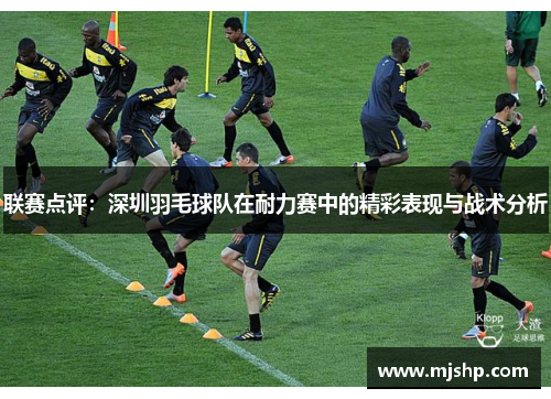 联赛点评：深圳羽毛球队在耐力赛中的精彩表现与战术分析