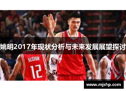 姚明2017年现状分析与未来发展展望探讨