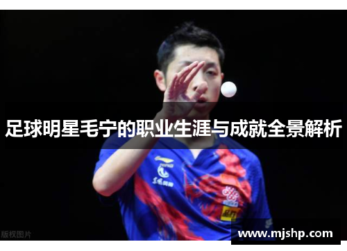 足球明星毛宁的职业生涯与成就全景解析