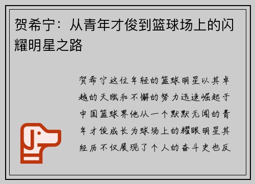 贺希宁：从青年才俊到篮球场上的闪耀明星之路